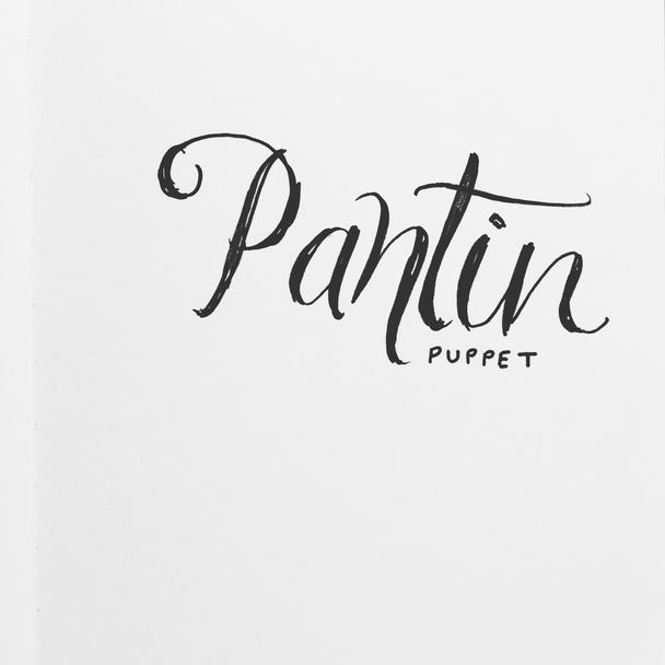 portfolio 100 day project pantin