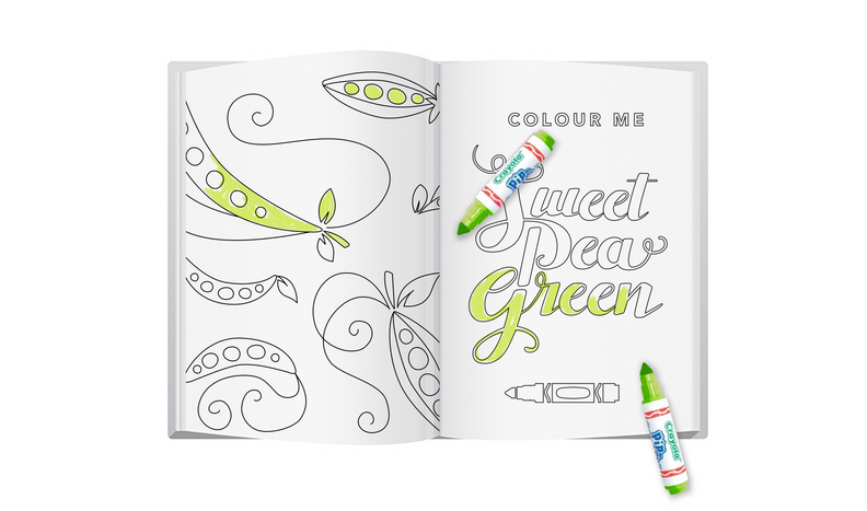 portfolio crayoligraphy book green